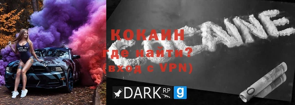дживик Бородино