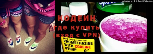 дживик Бородино