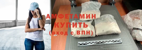 дживик Бородино
