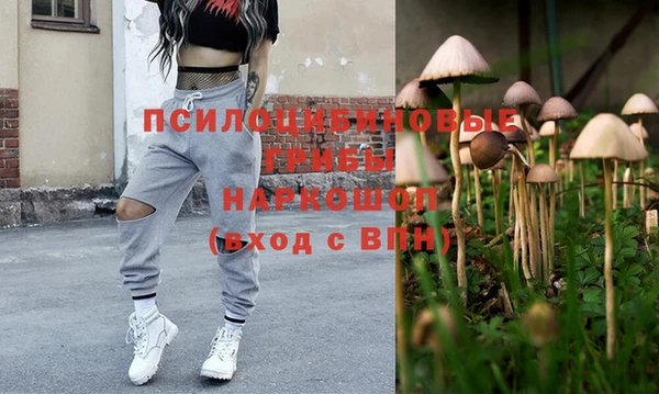 дживик Бородино
