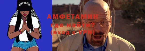дживик Бородино