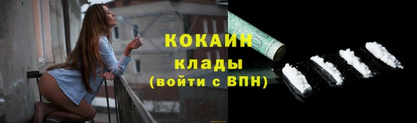 дживик Бородино