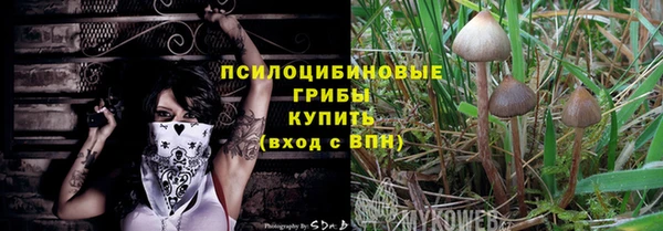 дмт Бугульма