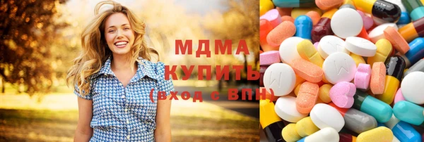 дживик Бородино