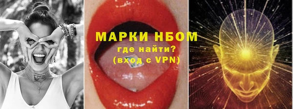 дживик Бородино