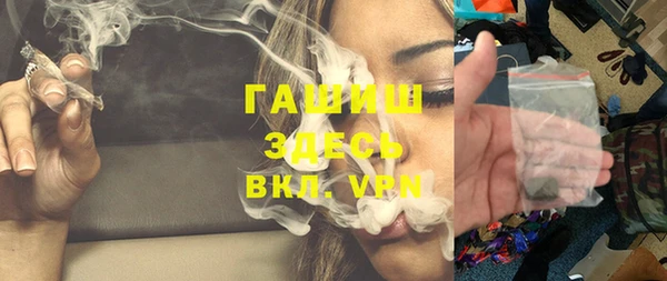 дживик Бородино