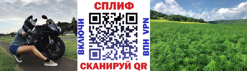 Купить закладки  Нерехта  Марихуана SATIVA & INDICA 